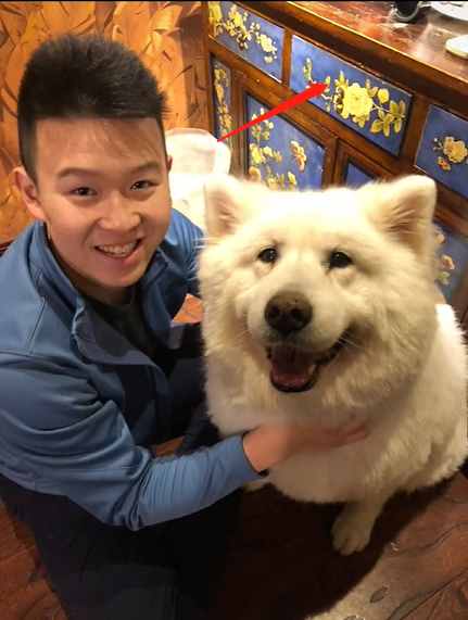 英达小儿子英如镝悼念爱宠，意外曝光豪宅内景！客厅大金柱子抢眼