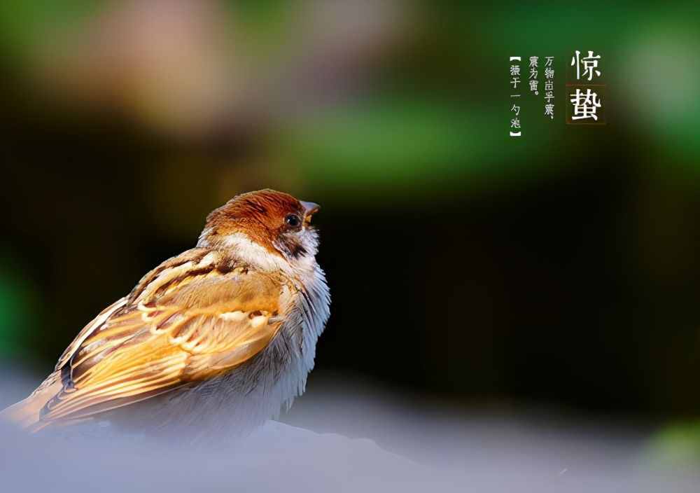 惊蛰过后，这6种碱性水果记得吃，顺应时节，营养味美防春困