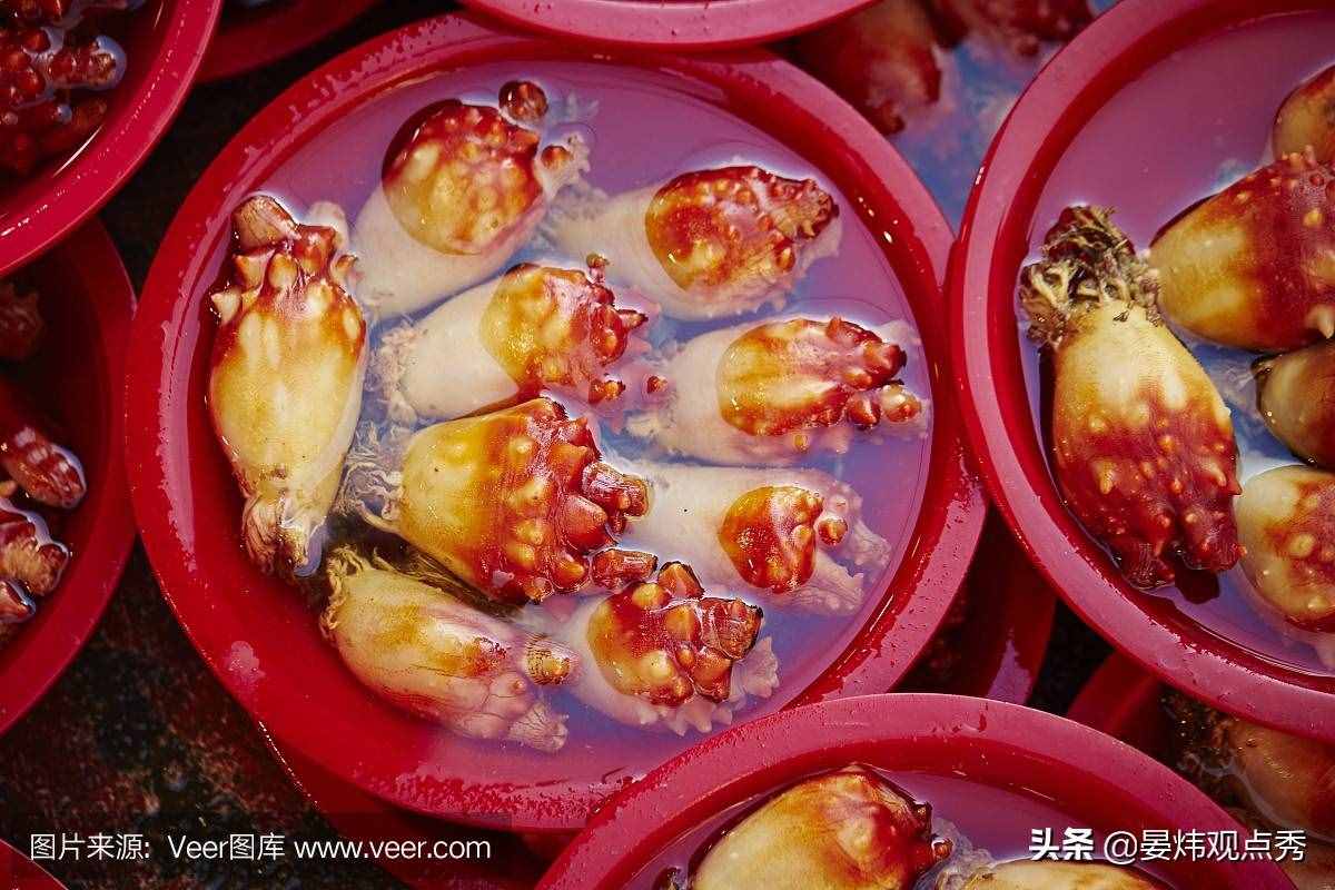自己吃掉自己的脑子，海鞘是有多想不通