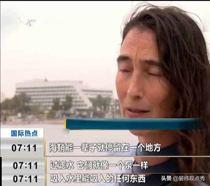 自己吃掉自己的脑子，海鞘是有多想不通