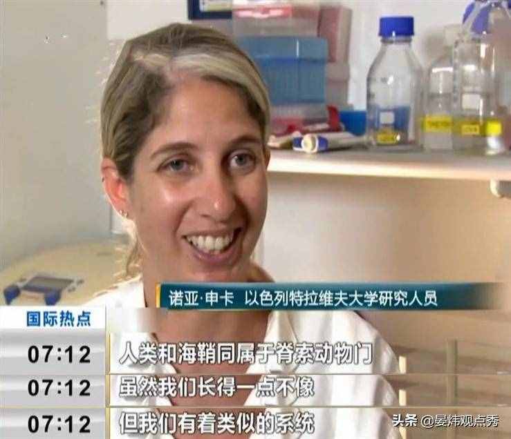 自己吃掉自己的脑子，海鞘是有多想不通