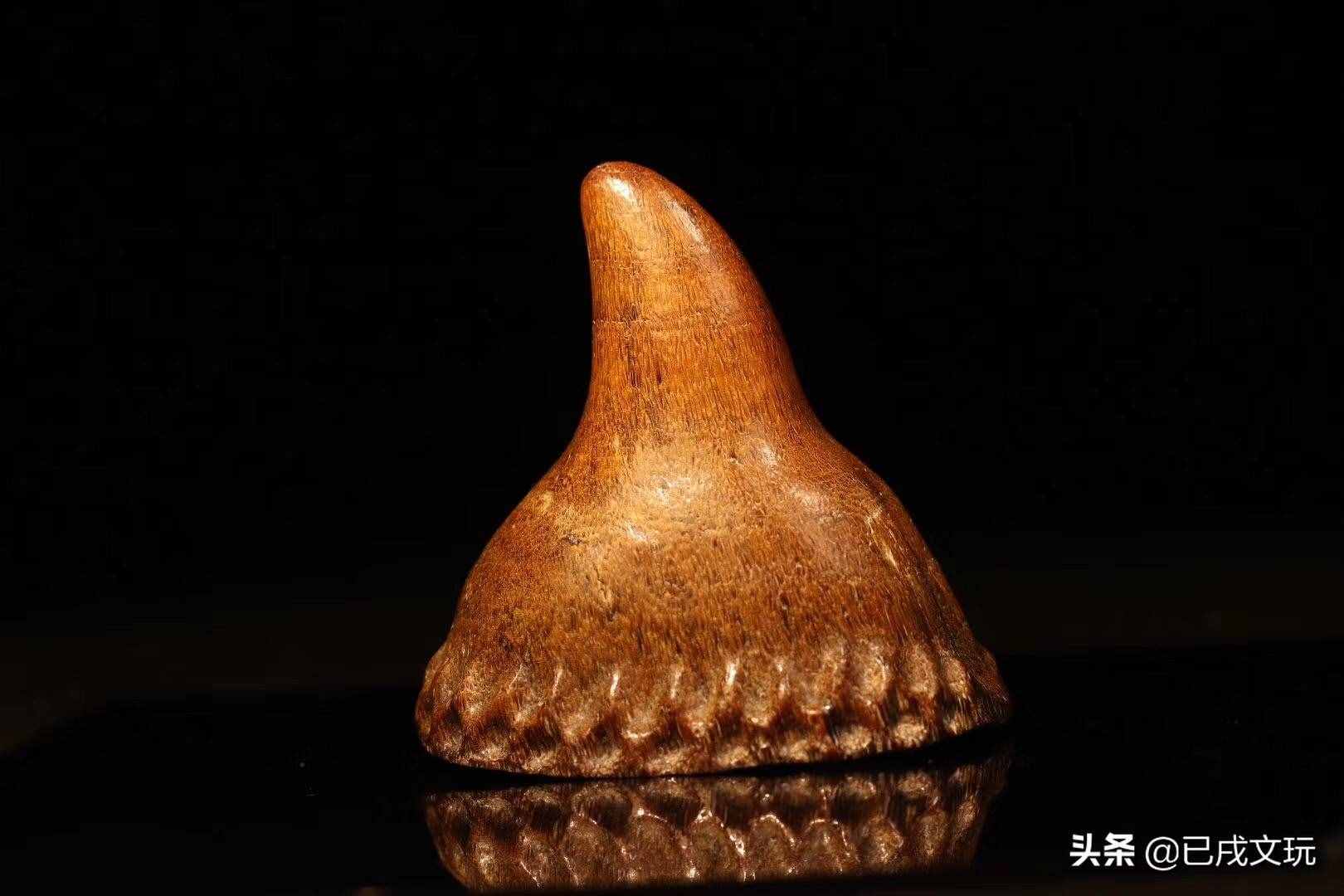 犀角如何辨别真假？