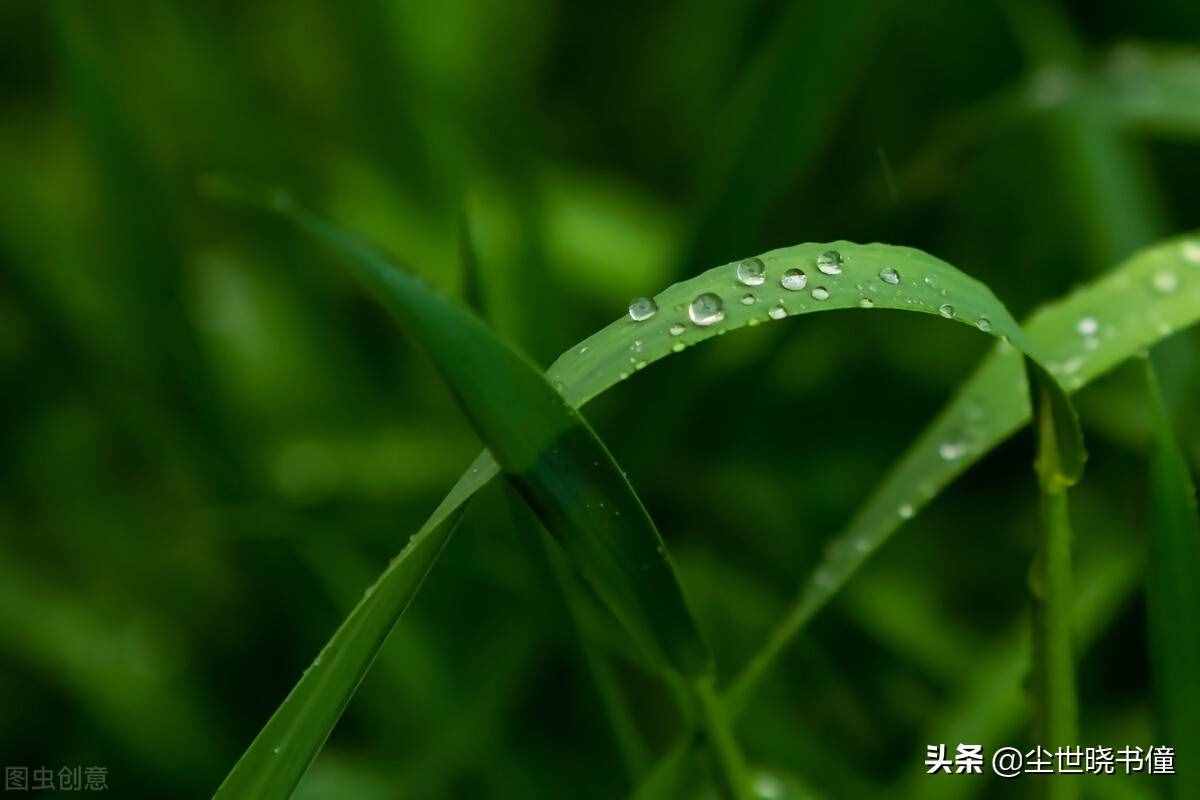 张继的《枫桥夜泊》意境凄美，而另一首《阊门即事》，则句句伤感