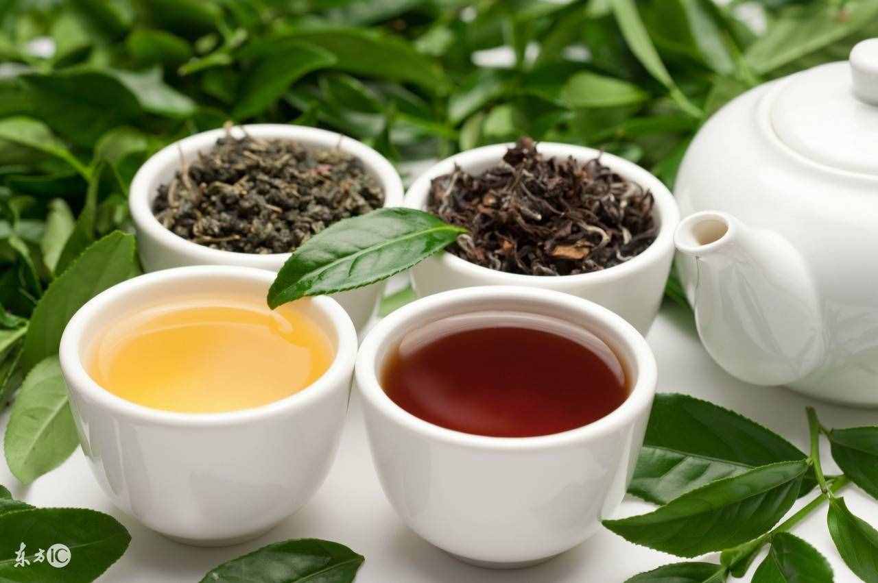 减肥减脂，喝乌龙茶真的有效吗？