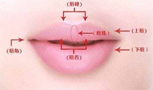 你想不想要一个嘟嘟唇-且看玻尿酸丰唇是怎么做的
