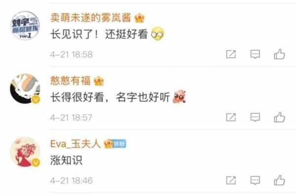 全球仅有一株！这些只生长在中国的珍稀植物，你知道哪些？