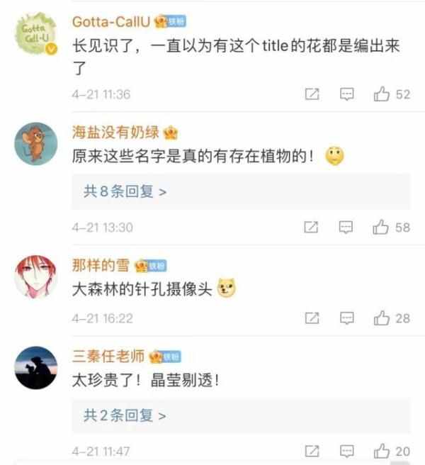 全球仅有一株！这些只生长在中国的珍稀植物，你知道哪些？