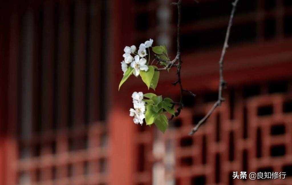 成语解读：盛气凌人