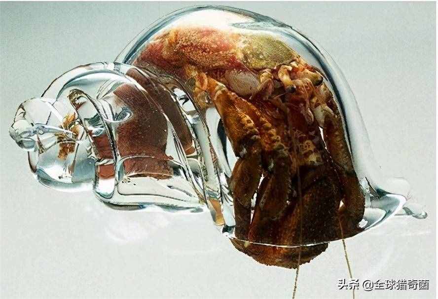 开眼界！33张活久见的有趣图片，又涨姿势了