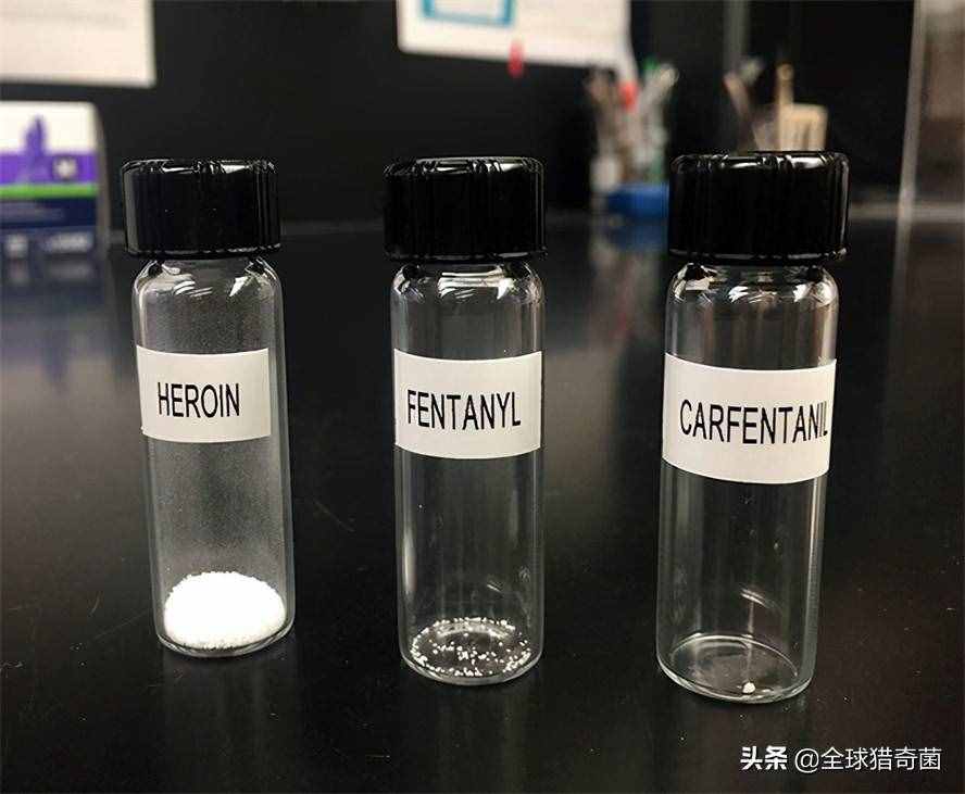 开眼界！33张活久见的有趣图片，又涨姿势了