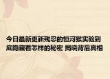 今日最新更新残忍的恒河猴实验到底隐藏着怎样的秘密 揭晓背后真相