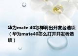 华为mate 40怎样调出开发者选项（华为mate40怎么打开开发者选项）