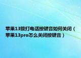 苹果13拨打电话按键音如何关闭（苹果13pro怎么关闭按键音）