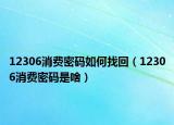 12306消费密码如何找回（12306消费密码是啥）