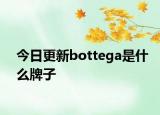 今日更新bottega是什么牌子