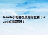 lazada价格那么低如何盈利（lazada利润高吗）