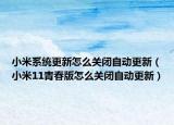 小米系统更新怎么关闭自动更新（小米11青春版怎么关闭自动更新）