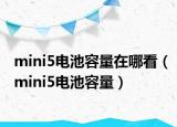mini5电池容量在哪看（mini5电池容量）