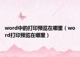 word中的打印预览在哪里（word打印预览在哪里）