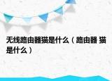 无线路由器猫是什么（路由器 猫是什么）