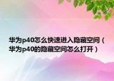 华为p40怎么快速进入隐藏空间（华为p40的隐藏空间怎么打开）