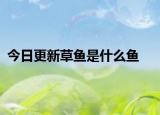 今日更新草鱼是什么鱼