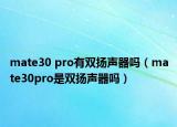 mate30 pro有双扬声器吗（mate30pro是双扬声器吗）