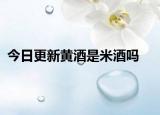 今日更新黄酒是米酒吗