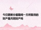 今日更新分居期间一方所取得的财产是共同财产吗