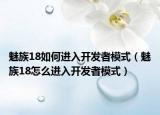魅族18如何进入开发者模式（魅族18怎么进入开发者模式）