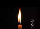 今日更新鲁迅写的文章（鲁迅散文希望）