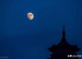 今日更新枫桥夜泊张继（张继的枫桥夜泊）