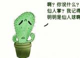 今日更新非主流可爱个性签名（可爱的搞笑个性签名大全）