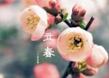 今日更新怎样躲春（躲春）