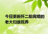 今日更新怀二胎离婚的老大归谁抚养