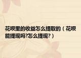 花呗里的收益怎么提取的（花呗能提现吗?怎么提现?）