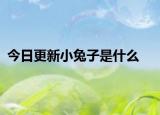 今日更新小兔子是什么