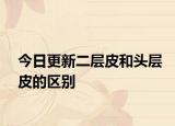 今日更新二层皮和头层皮的区别