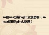 sa和nsa双模5g什么意思啊（sa nsa双模5g什么意思）