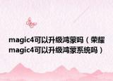 magic4可以升级鸿蒙吗（荣耀magic4可以升级鸿蒙系统吗）