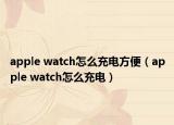 apple watch怎么充电方便（apple watch怎么充电）