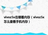 vivoz5x在哪看内存（vivoz5x怎么查看手机内存）