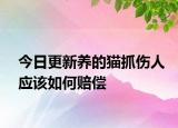今日更新养的猫抓伤人应该如何赔偿