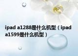 ipad a1288是什么机型（ipad a1599是什么机型）