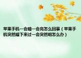 苹果手机一会暗一会亮怎么回事（苹果手机突然暗下来过一会突然明怎么办）
