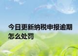 今日更新纳税申报逾期怎么处罚