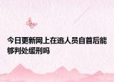今日更新网上在逃人员自首后能够判处缓刑吗