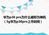 华为p30 pro为什么被称为神机（5g华为p30pro上市时间）
