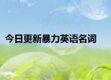 今日更新暴力英语名词