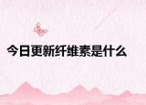 今日更新纤维素是什么